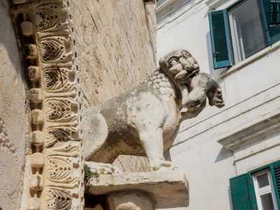...e una leonessa con il cucciolo morto tra le fauci